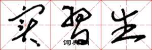 刘少英实习生草书怎么写