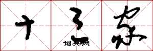 刘少英十三家草书怎么写