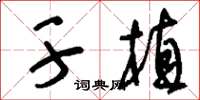 刘少英干植草书怎么写