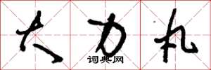 刘少英大力丸草书怎么写