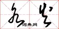 刘少英水火草书怎么写