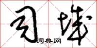 刘少英司城草书怎么写