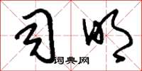 刘少英司明草书怎么写