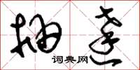 刘少英抽达草书怎么写
