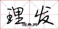 段相林理发行书怎么写