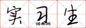段相林实习生行书怎么写