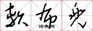 刘少英软布兜草书怎么写