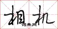 段相林相机行书怎么写