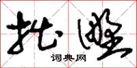 刘少英拙野草书怎么写