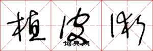 王冬龄植皮术草书怎么写