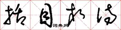 刘少英括目相待草书怎么写