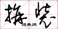 刘少英拼装草书怎么写