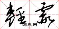 刘少英轻霞草书怎么写