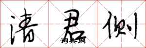 段相林清君侧行书怎么写