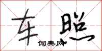 段相林车照行书怎么写