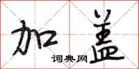 段相林加盖行书怎么写