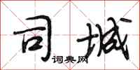 段相林司城行书怎么写