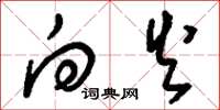 刘少英向火草书怎么写