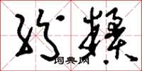 刘少英纷糅草书怎么写