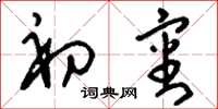刘少英初审草书怎么写