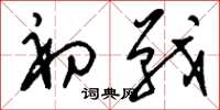 刘少英初战草书怎么写
