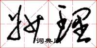 刘少英妙理草书怎么写