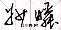 刘少英妙瞬草书怎么写