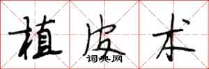 段相林植皮术行书怎么写