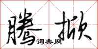 段相林腾掀行书怎么写