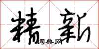 段相林精新行书怎么写