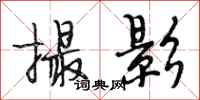 段相林撮影行书怎么写
