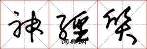 朱锡荣神经质草书怎么写