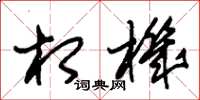 朱锡荣相机草书怎么写