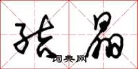 朱锡荣结晶草书怎么写