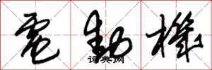 朱锡荣电动机草书怎么写
