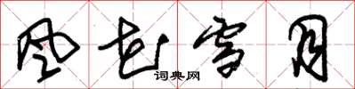 朱锡荣风花雪月草书怎么写