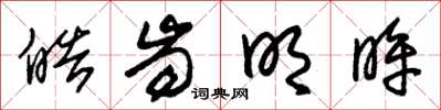 朱锡荣皓齿明眸草书怎么写