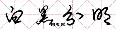 朱锡荣白黑分明草书怎么写