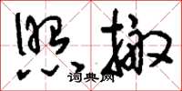 刘少英照搬草书怎么写