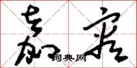 刘少英嘉容草书怎么写