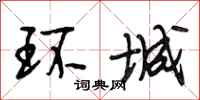 段相林环城行书怎么写