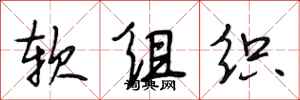 段相林软组织行书怎么写