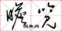 刘少英瞻览草书怎么写