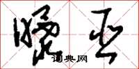 刘少英曝巫草书怎么写