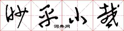 刘少英眇乎小哉草书怎么写