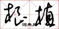 刘少英根植草书怎么写