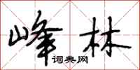 段相林峰林行书怎么写