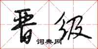 段相林晋级行书怎么写