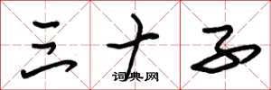 朱锡荣三十子草书怎么写