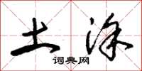 朱锡荣土涂草书怎么写